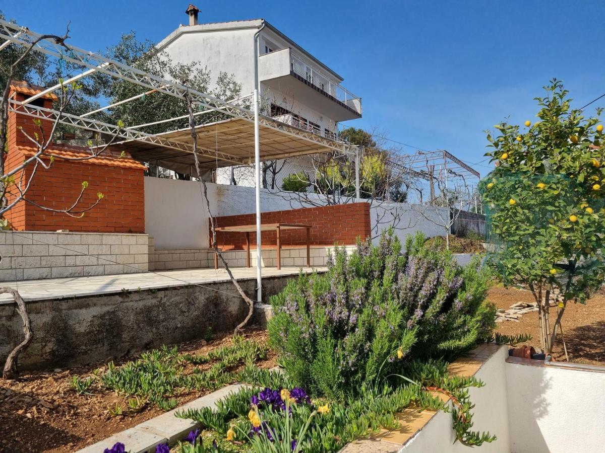 Villa Nena In Central Dalmatia Trogir Eksteriør billede